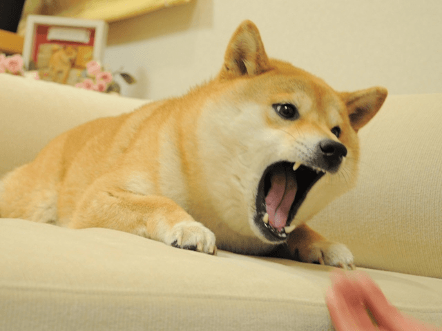Angry