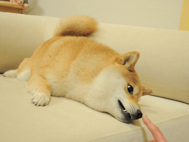 Curious